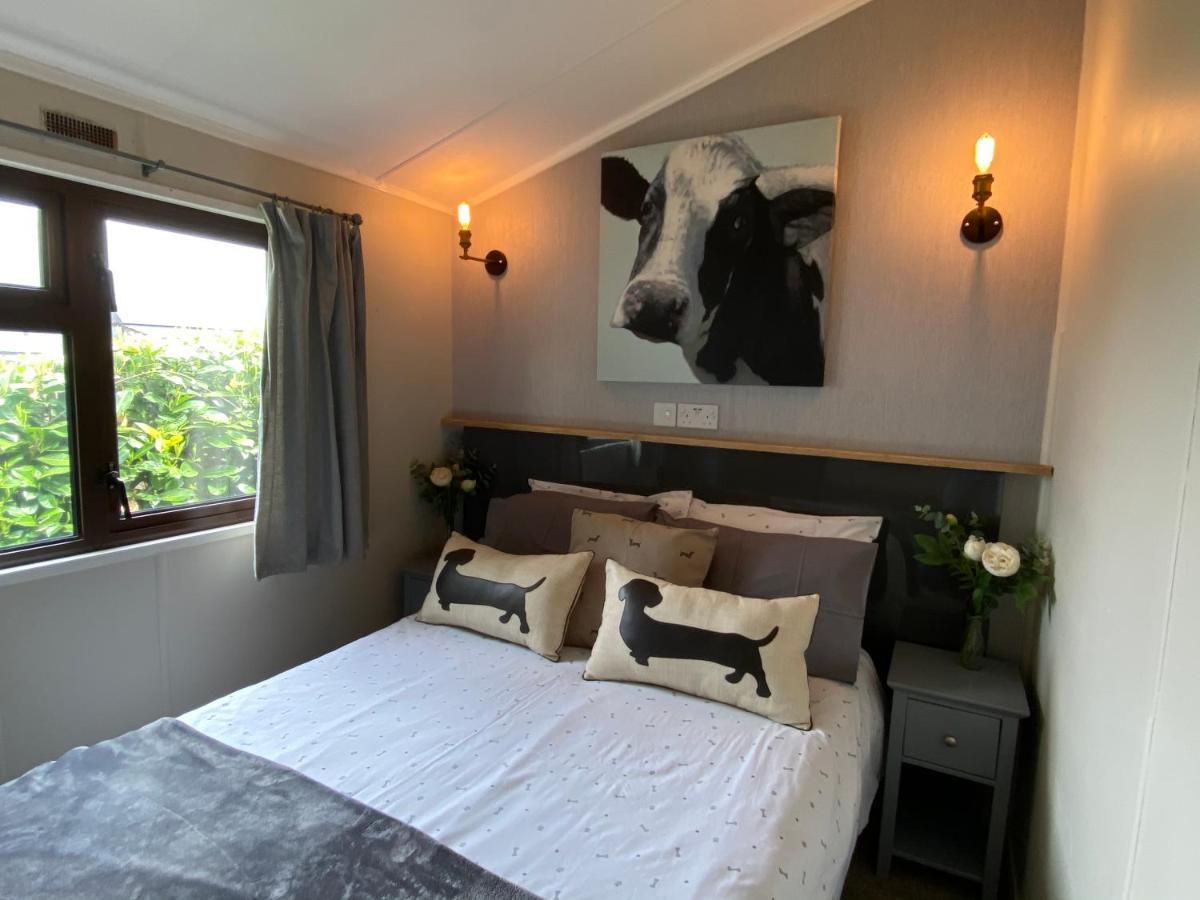 Rew Farm Country & Equestrian Accommodation - Sunrise Lodge Melksham Eksteriør billede