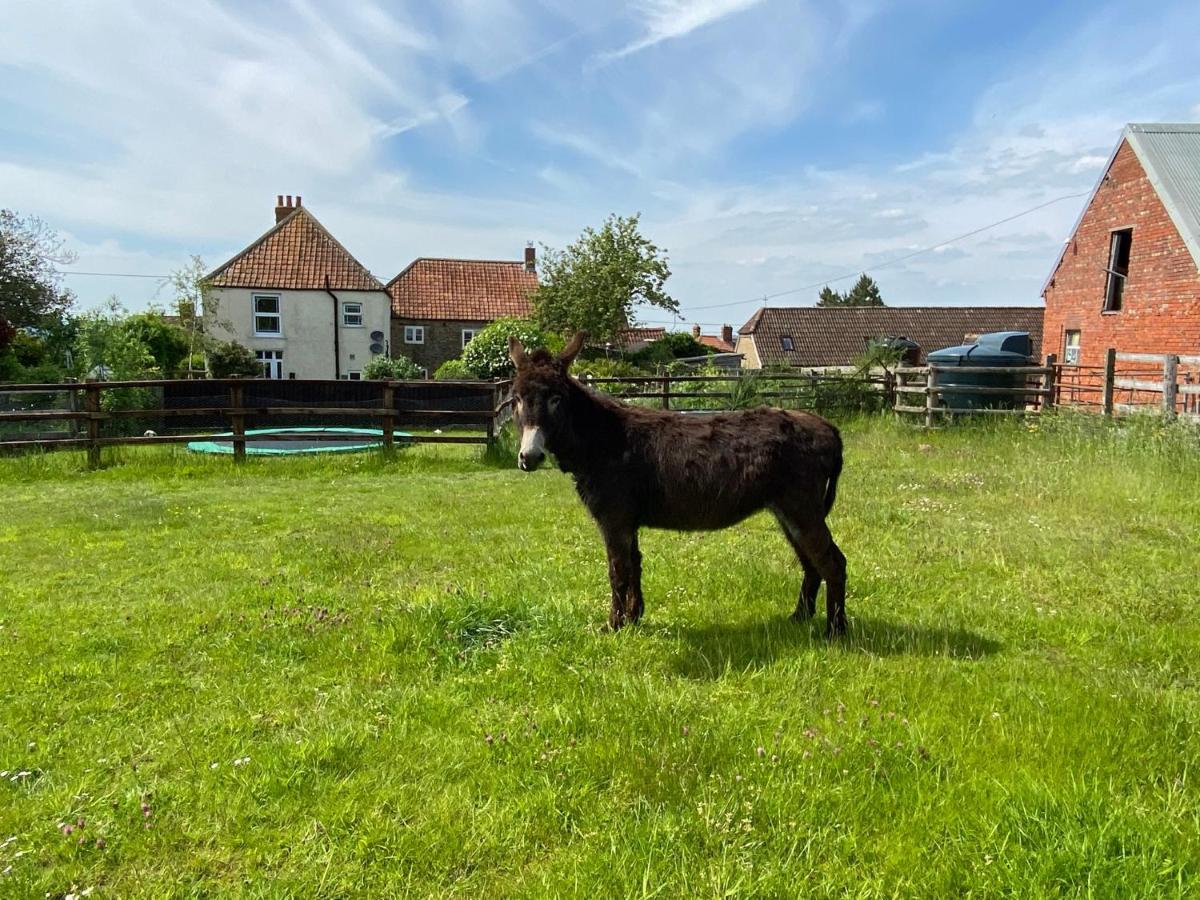 Rew Farm Country & Equestrian Accommodation - Sunrise Lodge Melksham Eksteriør billede