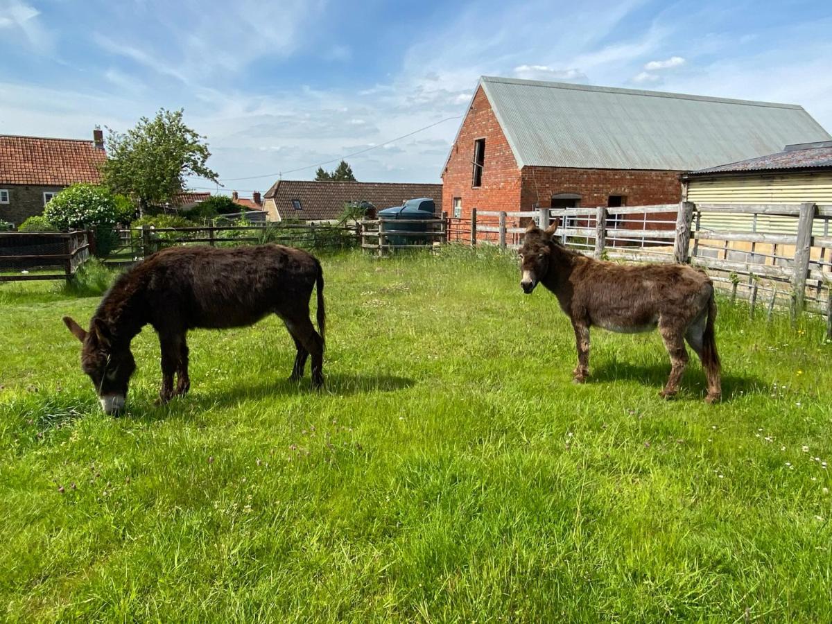 Rew Farm Country & Equestrian Accommodation - Sunrise Lodge Melksham Eksteriør billede