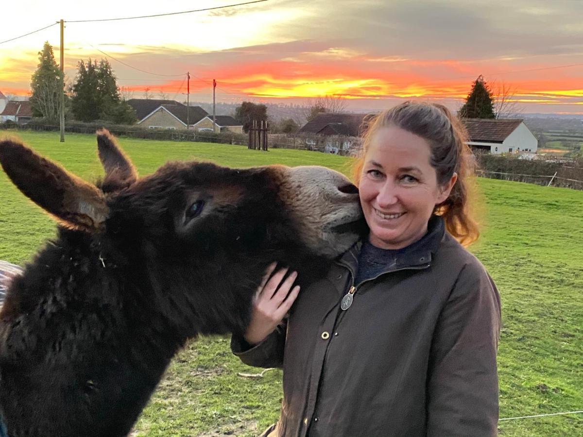 Rew Farm Country & Equestrian Accommodation - Sunrise Lodge Melksham Eksteriør billede