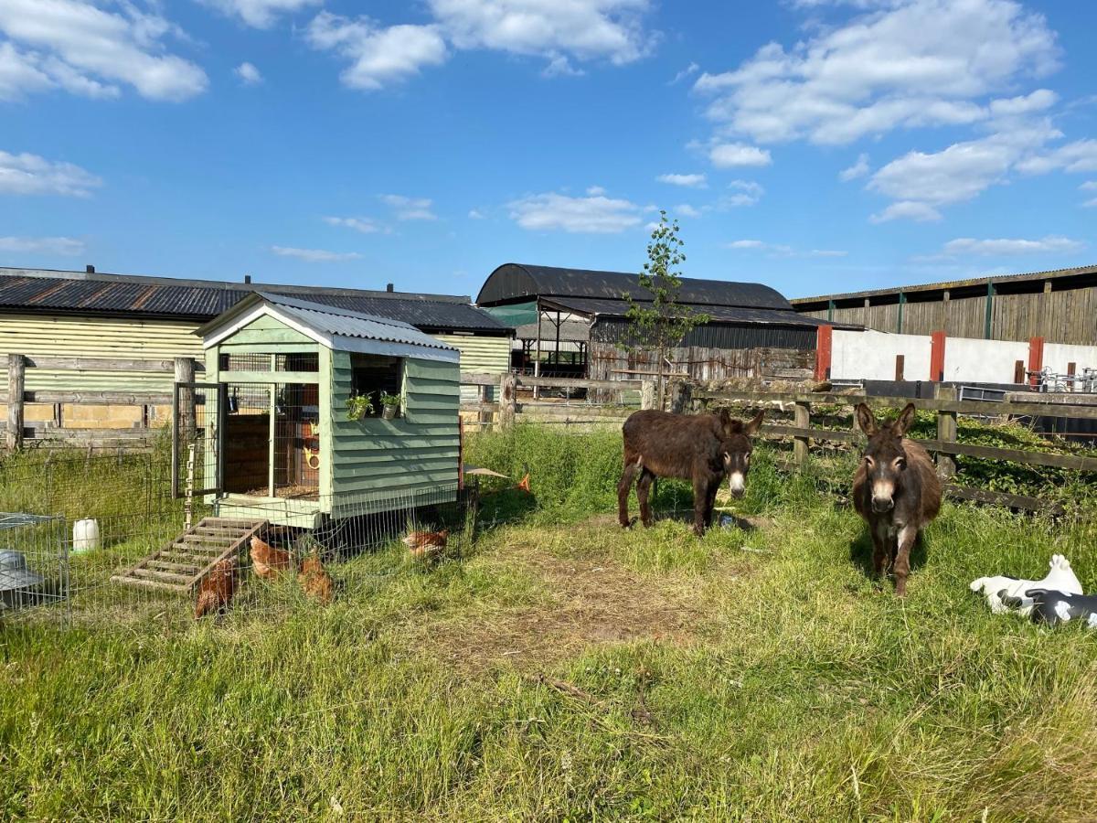 Rew Farm Country & Equestrian Accommodation - Sunrise Lodge Melksham Eksteriør billede
