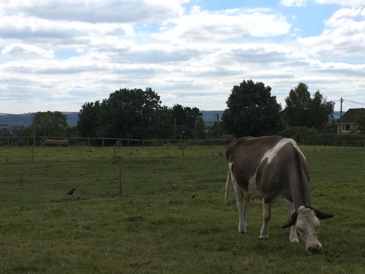 Rew Farm Country & Equestrian Accommodation - Sunrise Lodge Melksham Eksteriør billede