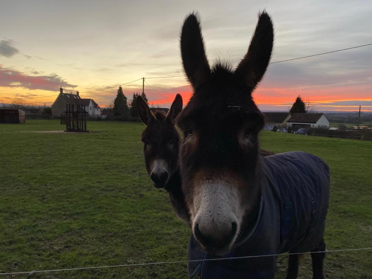 Rew Farm Country & Equestrian Accommodation - Sunrise Lodge Melksham Eksteriør billede