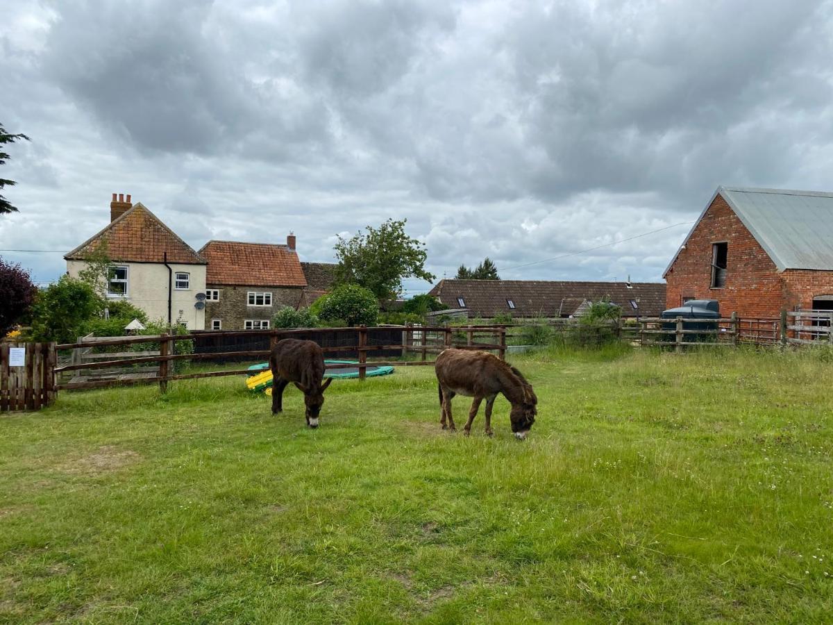Rew Farm Country & Equestrian Accommodation - Sunrise Lodge Melksham Eksteriør billede