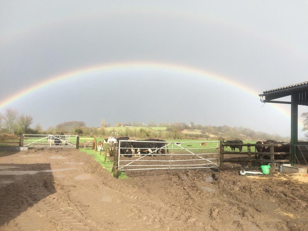 Rew Farm Country & Equestrian Accommodation - Sunrise Lodge Melksham Eksteriør billede