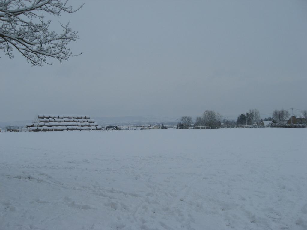 Rew Farm Country & Equestrian Accommodation - Sunrise Lodge Melksham Eksteriør billede