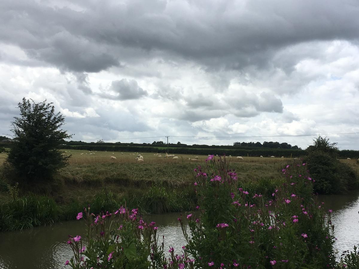 Rew Farm Country & Equestrian Accommodation - Sunrise Lodge Melksham Eksteriør billede