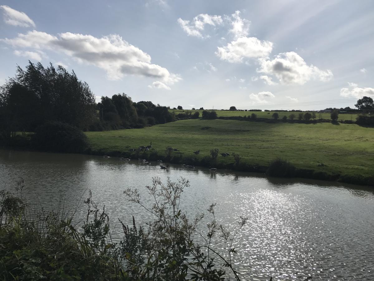 Rew Farm Country & Equestrian Accommodation - Sunrise Lodge Melksham Eksteriør billede