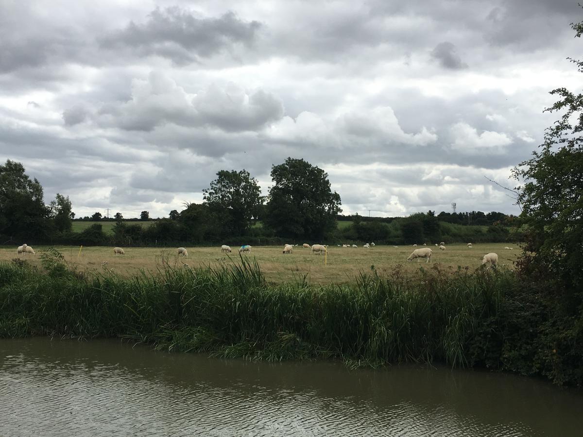 Rew Farm Country & Equestrian Accommodation - Sunrise Lodge Melksham Eksteriør billede